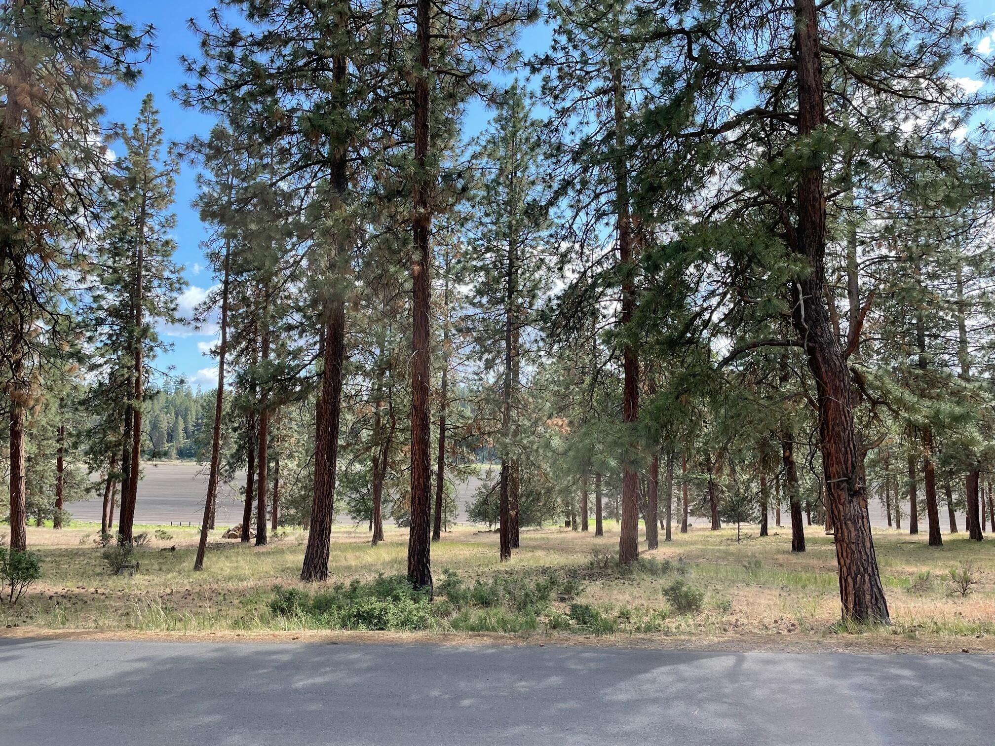 82 Merganser Road, Unit LOT 82 Klamath Falls, OR 97601 - Photo 1 of 6 IMG_0898