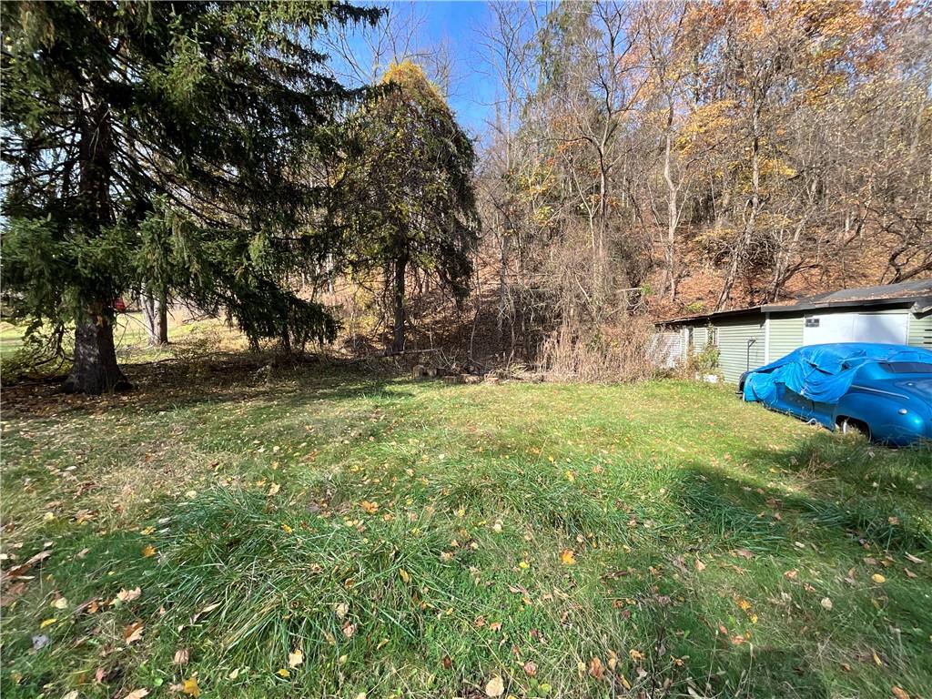 Mostly flat lot