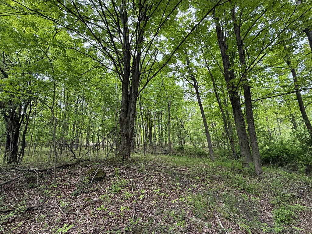 Hawley Road Bradford, NY 14815 - Photo 16 of 42