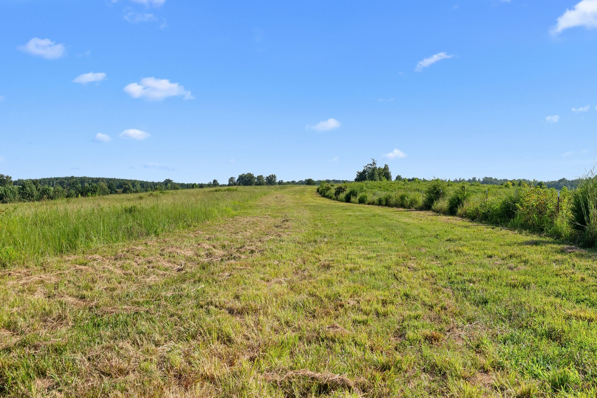 6065 Spencer Road Nunnelly, TN 37137 - Photo 7 of 94 Gallery Image 7