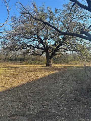 a view of a yard with a house