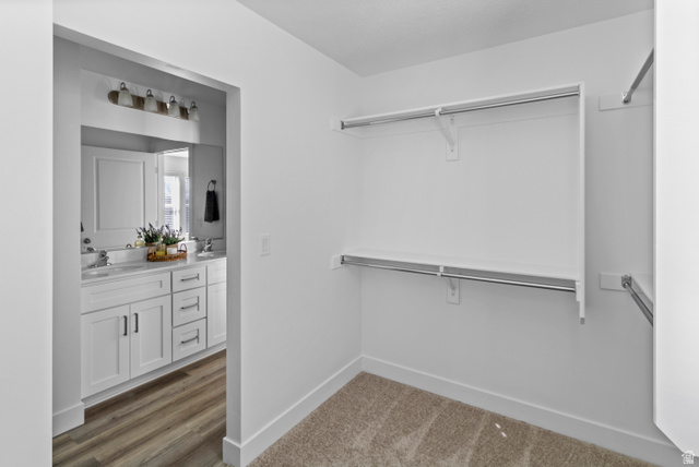 1264 West 500 South, Unit 320 Logan, UT 84321 - Photo 21 of 39 Walk-in closet featuring carpet flooring, built-in shelving, and clothing rods, with a clear sightline into a bathroom with a double vanity and wood-finish flooring