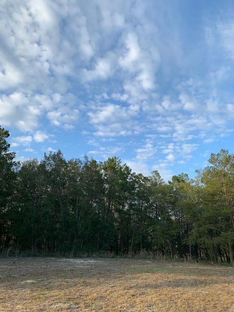 492 Mango Lane Freeport, FL 32439 - Photo 56 of 63 FLynn 3
