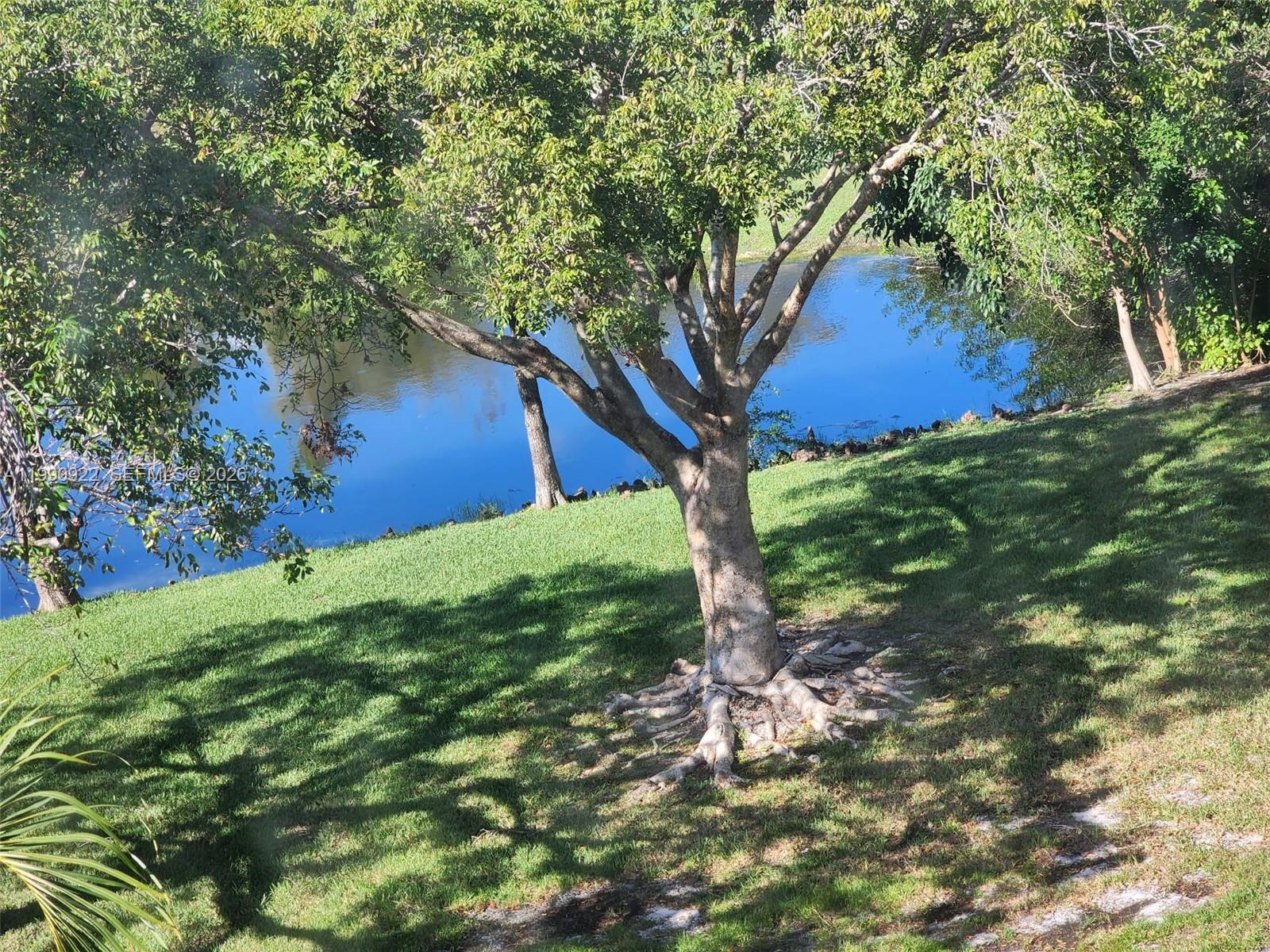 8370 Sands Point Boulevard, Unit H303 Tamarac, FL 33321 - Photo 7 of 7 a view of a tree in a yard