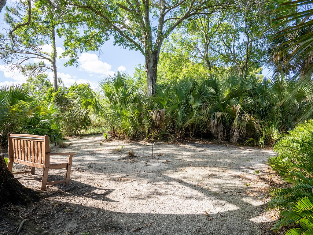 2139 Falls Circle Vero Beach, FL 32967 - Photo 4 of 17 a view of a yard with plants and trees