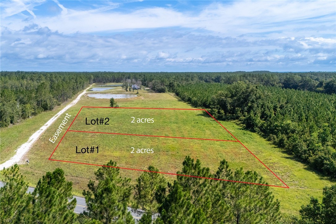 4601 Alma Highway Waycross, GA 31503 - Photo 2 of 12