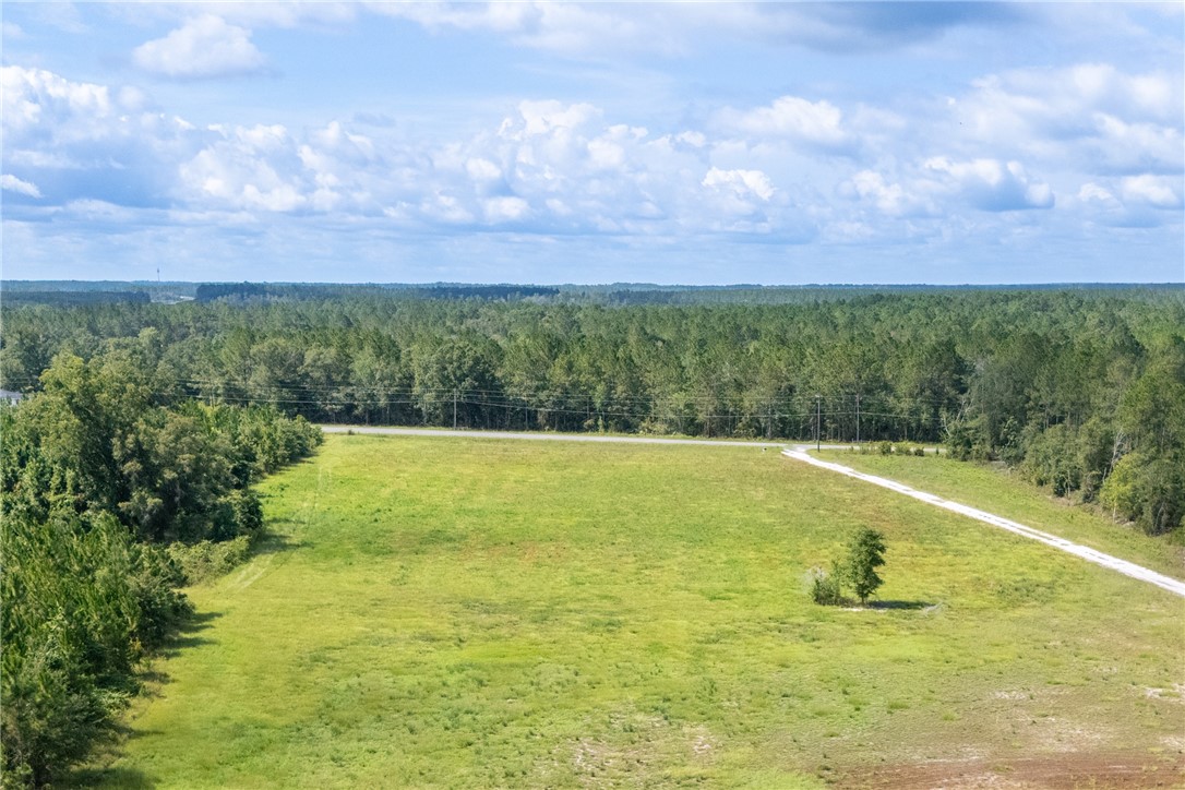 4601 Alma Highway Waycross, GA 31503 - Photo 3 of 12