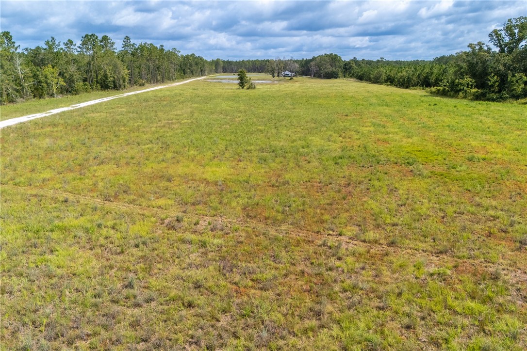 4601 Alma Highway Waycross, GA 31503 - Photo 7 of 12