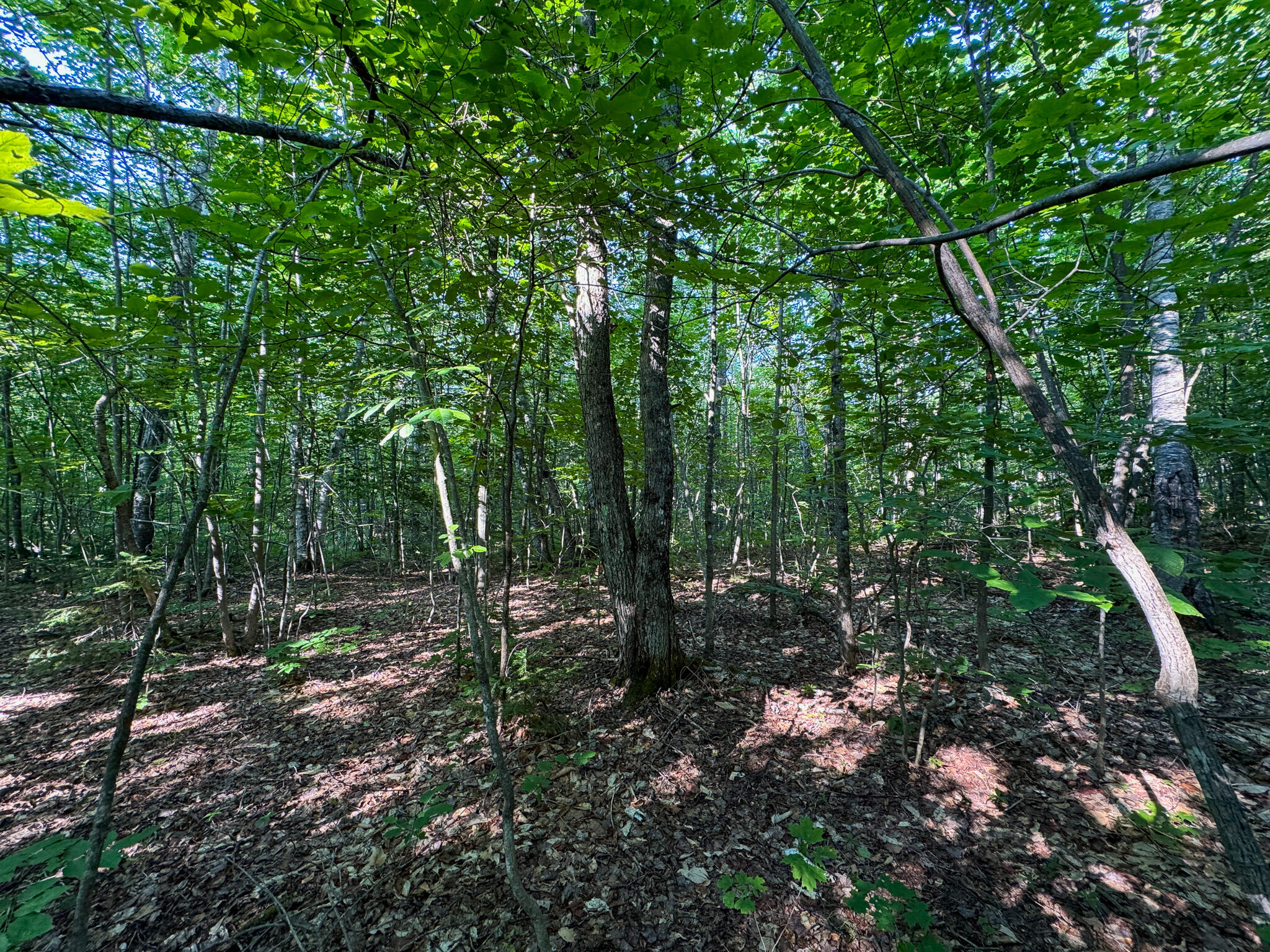 M8-l2 Mountain Road Mount Chase, ME 04765 - Photo 21 of 39 21