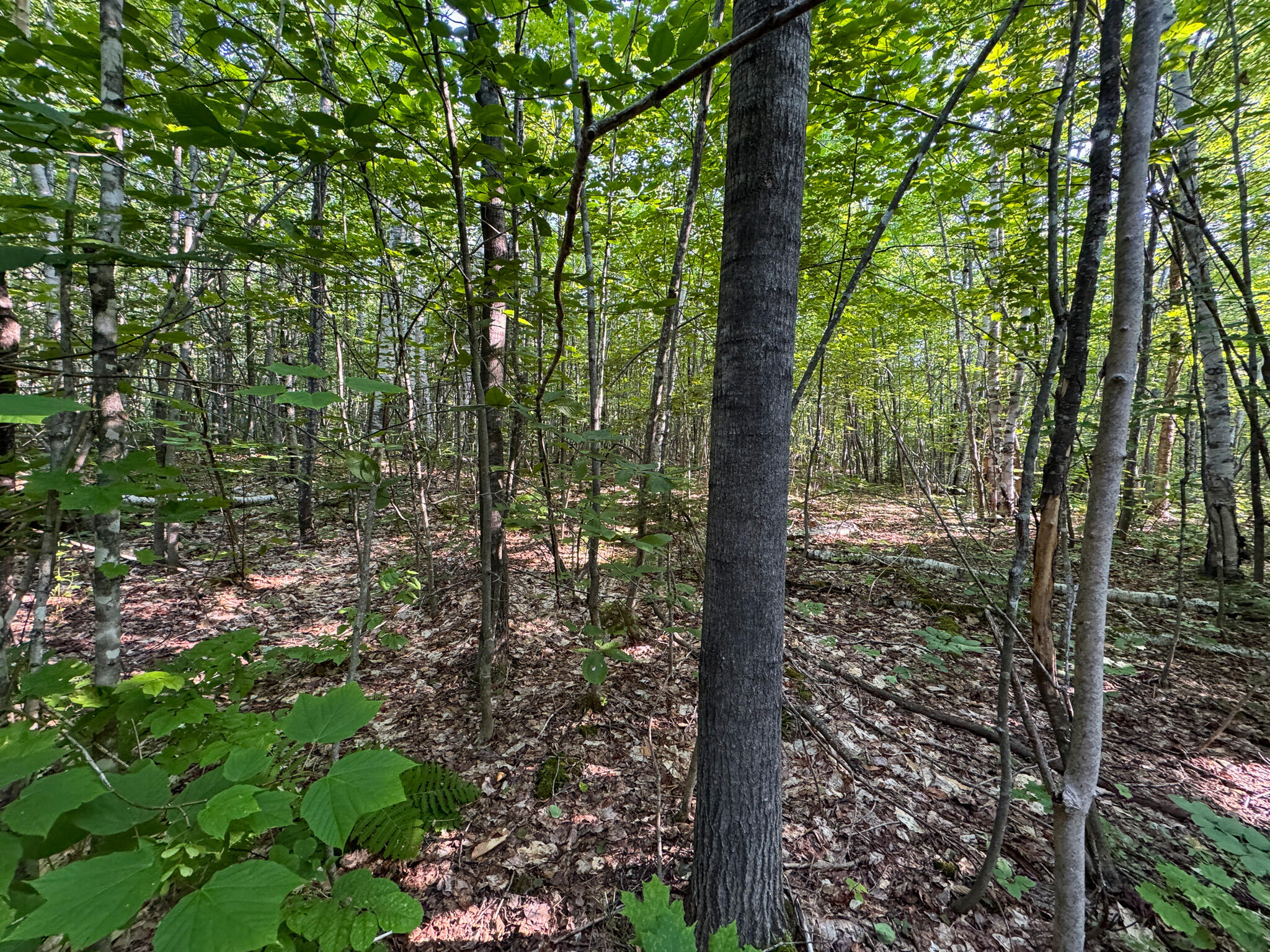 M8-l2 Mountain Road Mount Chase, ME 04765 - Photo 22 of 39 22