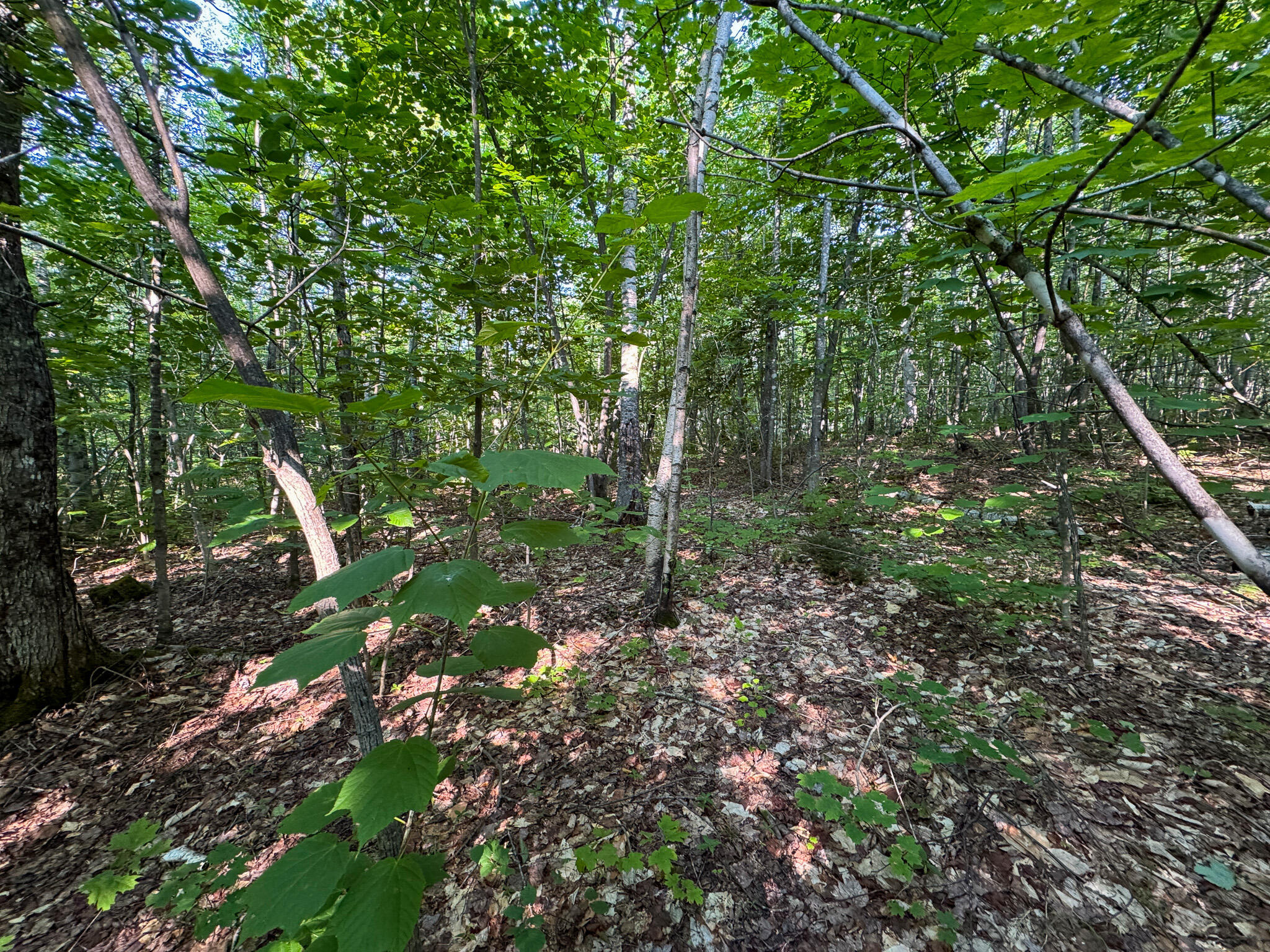 M8-l2 Mountain Road Mount Chase, ME 04765 - Photo 23 of 39 23