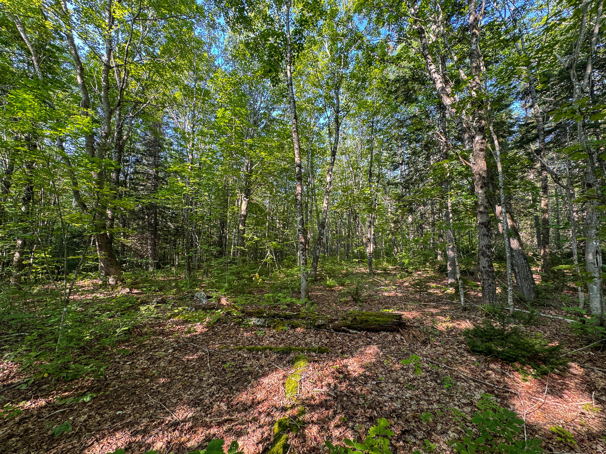 M8-l2 Mountain Road Mount Chase, ME 04765 - Photo 24 of 39 24