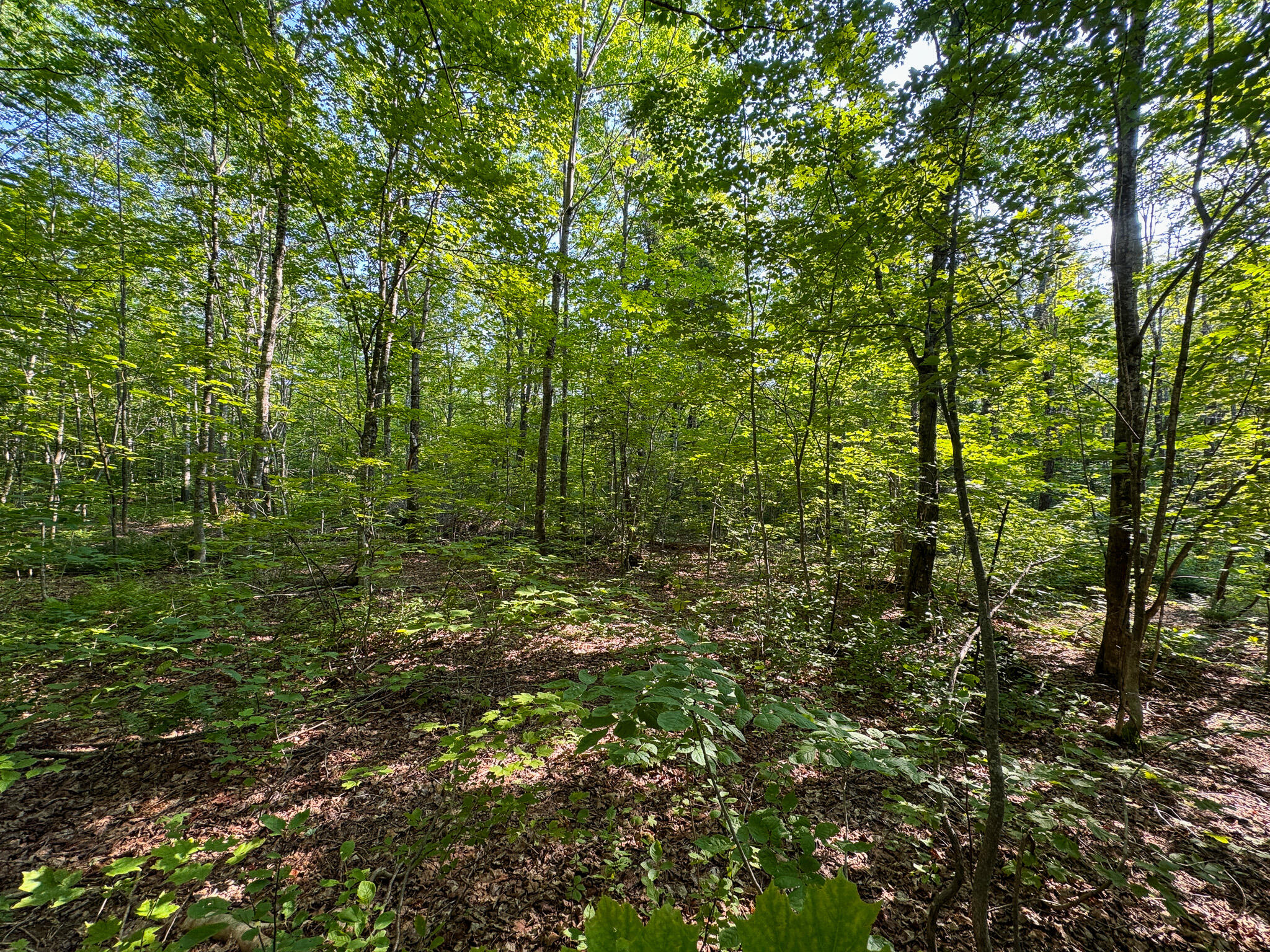 M8-l2 Mountain Road Mount Chase, ME 04765 - Photo 25 of 39 25