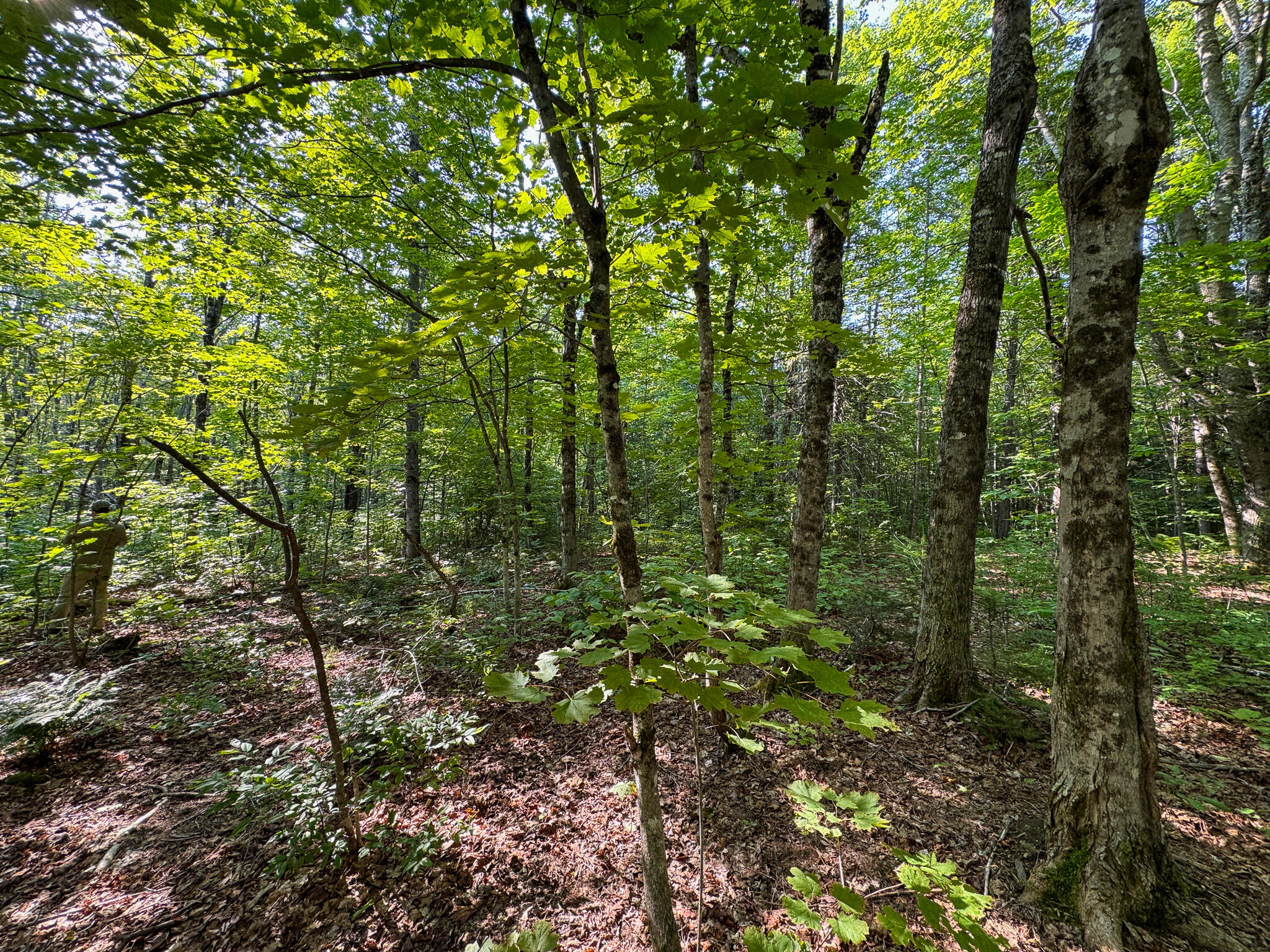 M8-l2 Mountain Road Mount Chase, ME 04765 - Photo 26 of 39 26