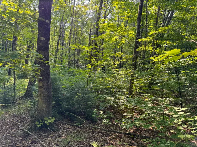 $225,000 | M8-l2 Mountain Road, Mount Chase, ME 04765