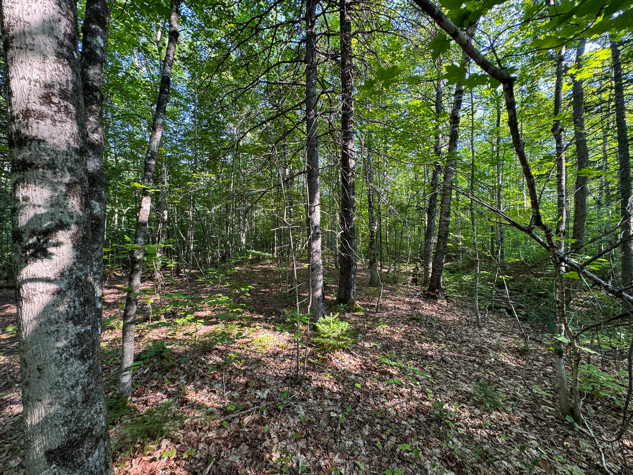 M8-l2 Mountain Road Mount Chase, ME 04765 - Photo 30 of 39 30