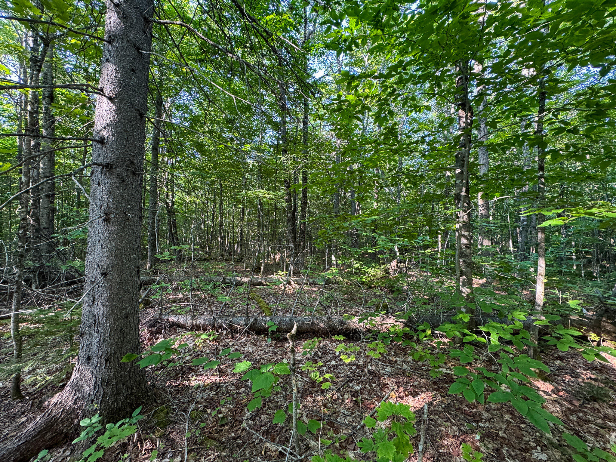 M8-l2 Mountain Road Mount Chase, ME 04765 - Photo 31 of 39 31