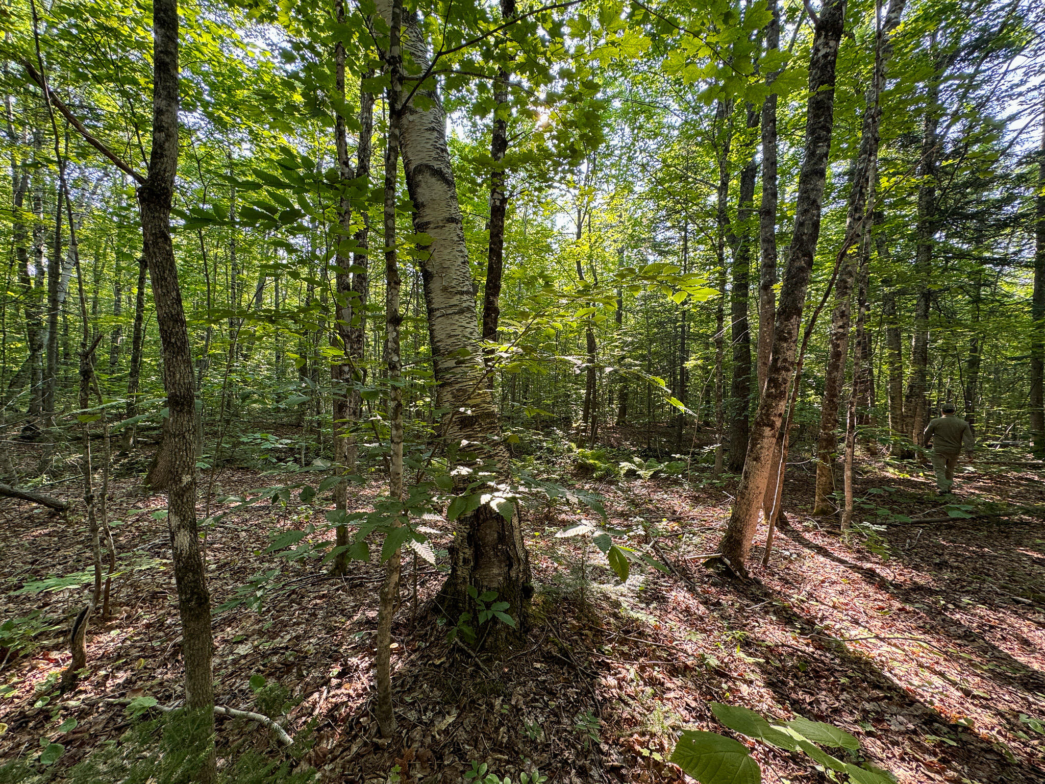 M8-l2 Mountain Road Mount Chase, ME 04765 - Photo 32 of 39 32