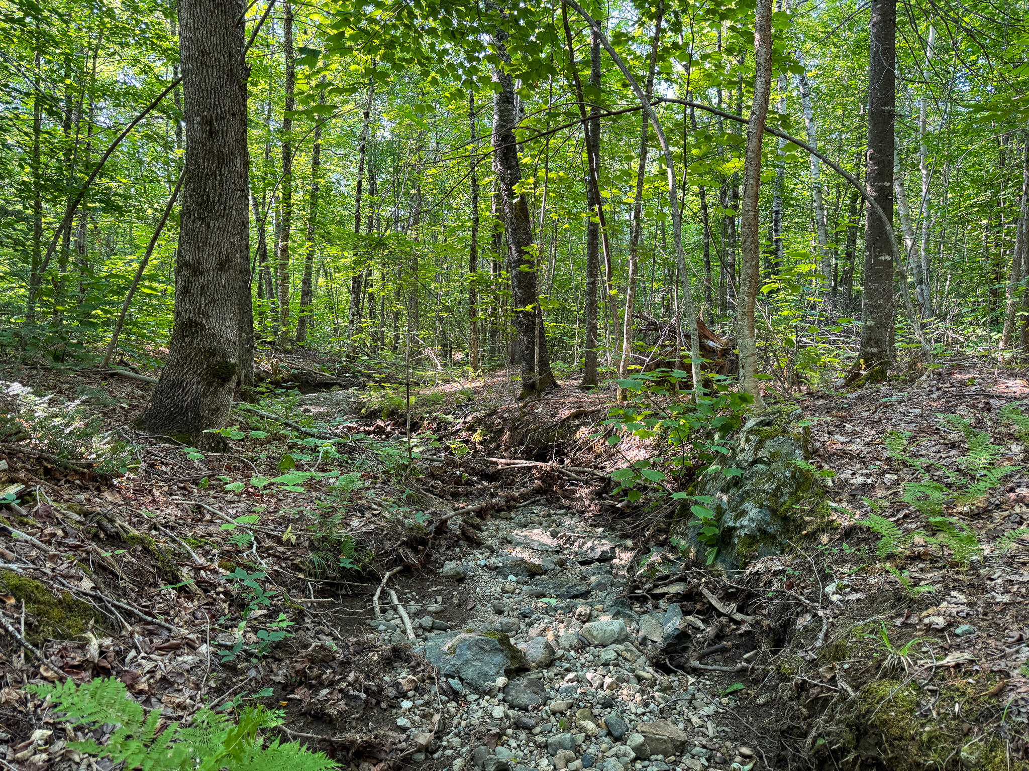 M8-l2 Mountain Road Mount Chase, ME 04765 - Photo 33 of 39 33