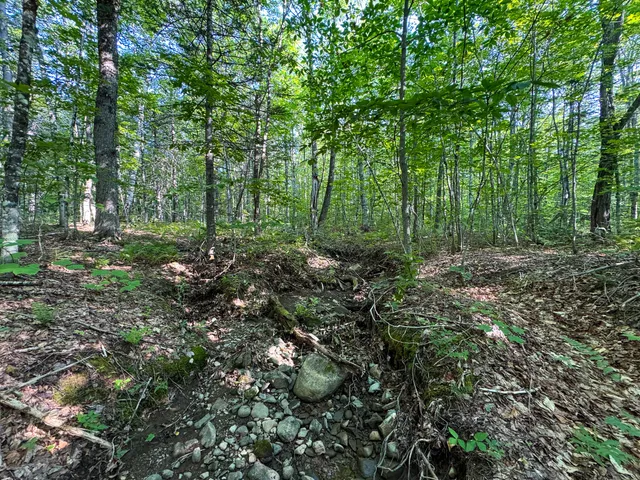 $225,000 | M8-l2 Mountain Road, Mount Chase, ME 04765