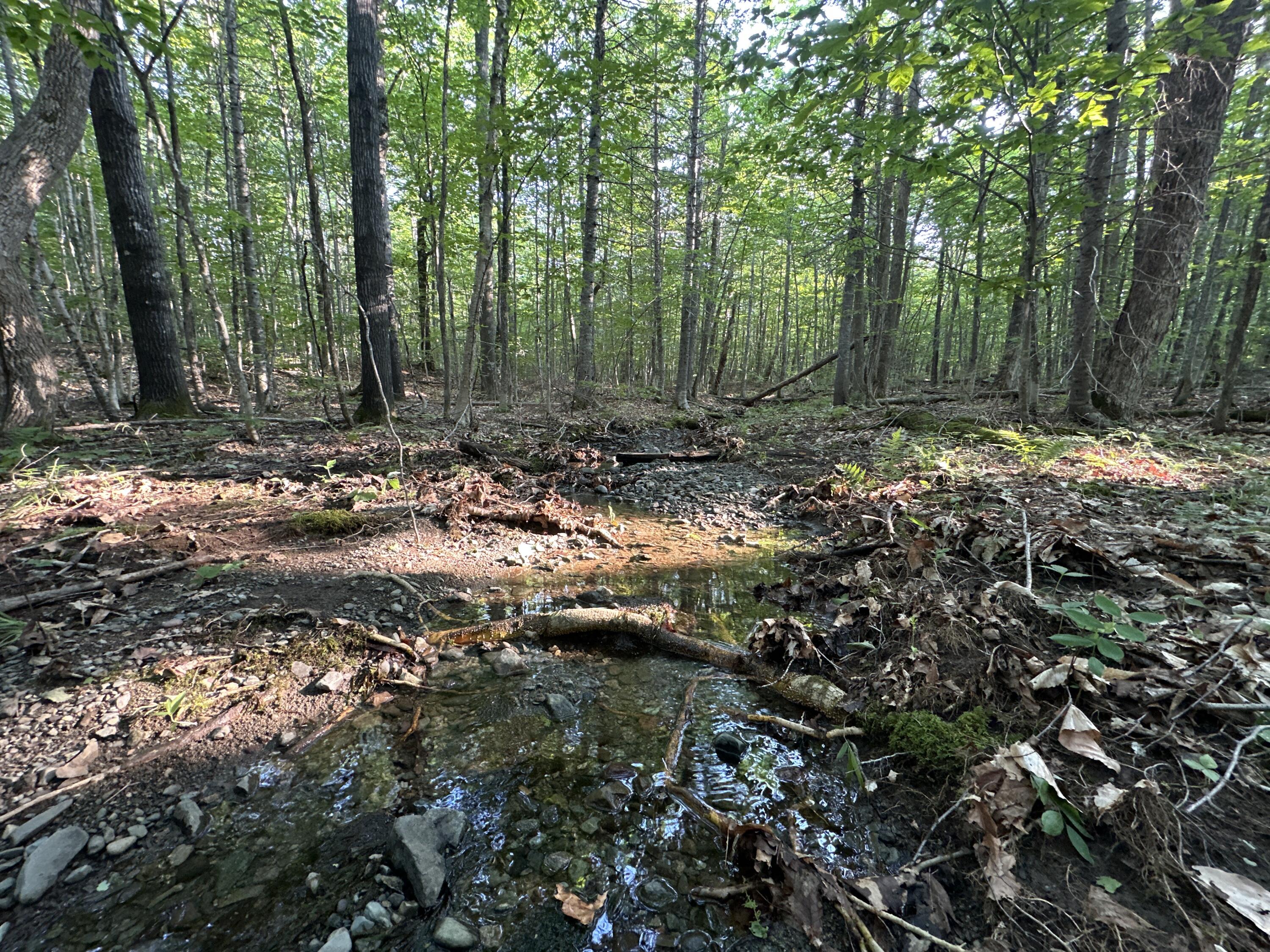 M8-l2 Mountain Road Mount Chase, ME 04765 - Photo 35 of 39 35