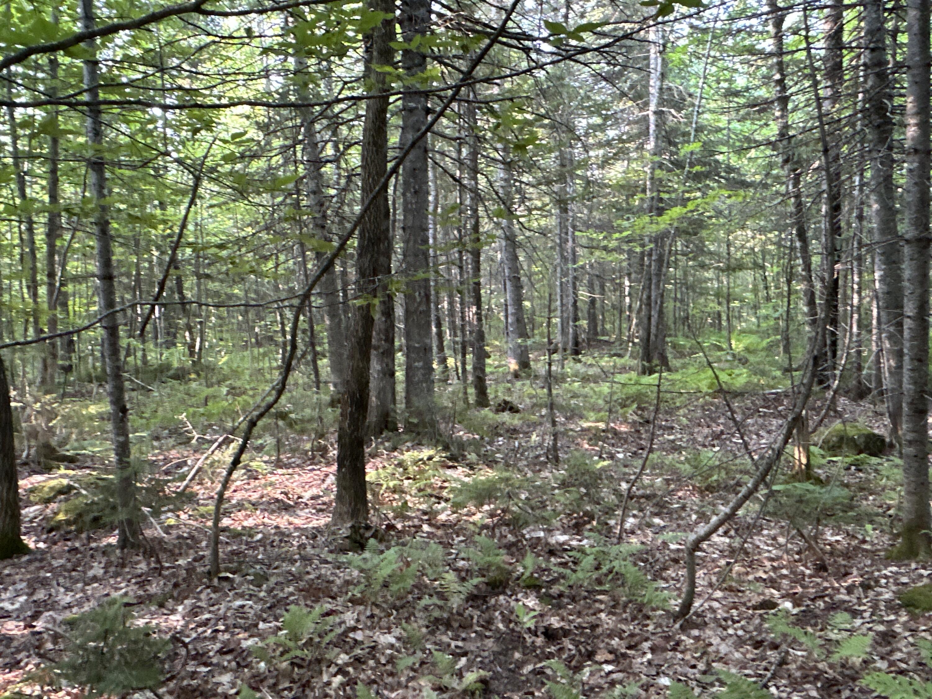 M8-l2 Mountain Road Mount Chase, ME 04765 - Photo 36 of 39 36