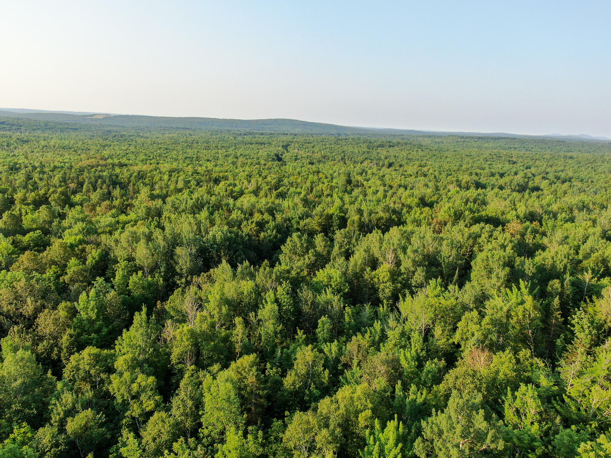 M8-l2 Mountain Road Mount Chase, ME 04765 - Photo 5 of 39 5