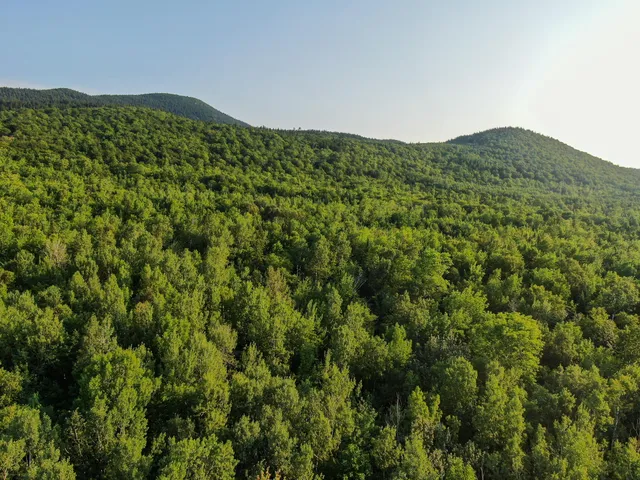 $225,000 | M8-l2 Mountain Road, Mount Chase, ME 04765