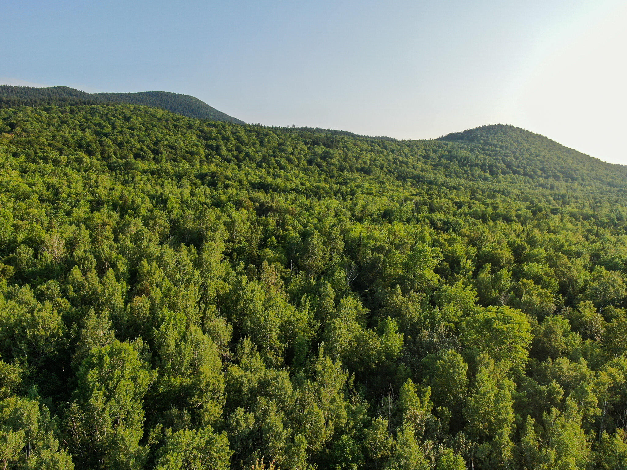 M8-l2 Mountain Road Mount Chase, ME 04765 - Photo 6 of 39 6