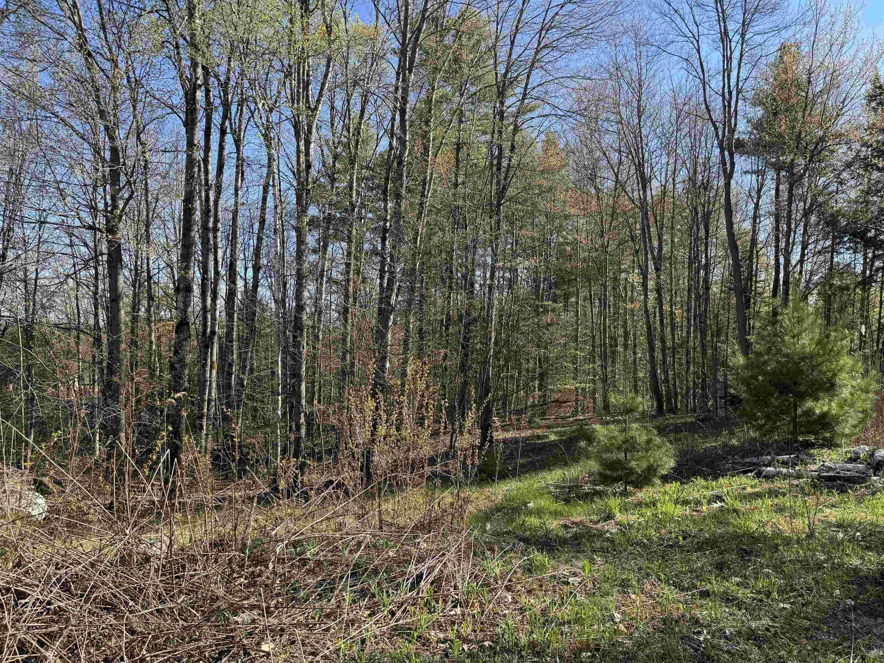 807 Kidder Hood Road Bradford, VT 05033 - Photo 12 of 21