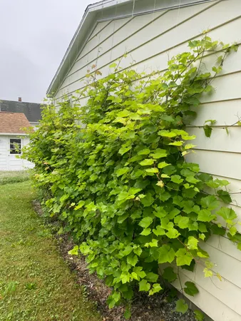 $295,000 | 78 Highway 32, Bristol, ME 04554
