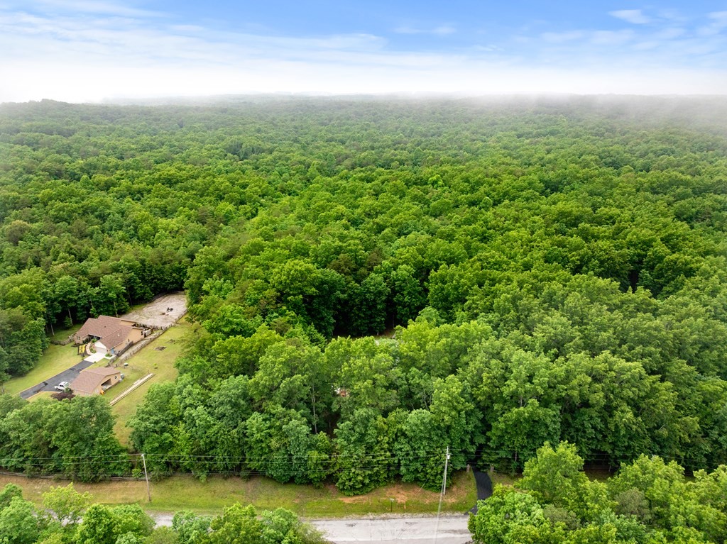 1320 Laurel Way Monterey, TN 38574 - Photo 29 of 67