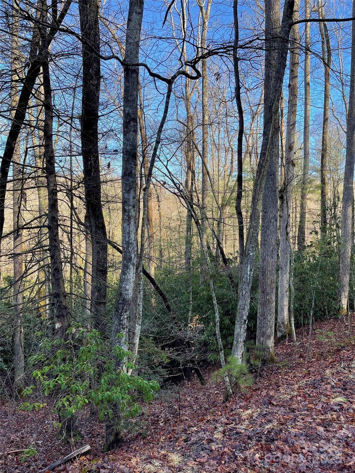 0 Old CCC Road Hendersonville, NC 28739 - Photo 1 of 2