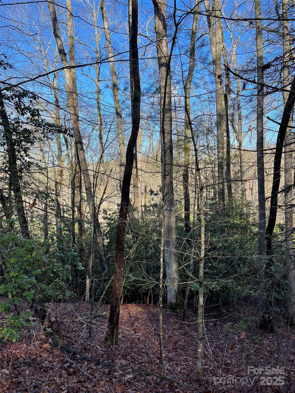 0 Old CCC Road Hendersonville, NC 28739 - Photo 2 of 2