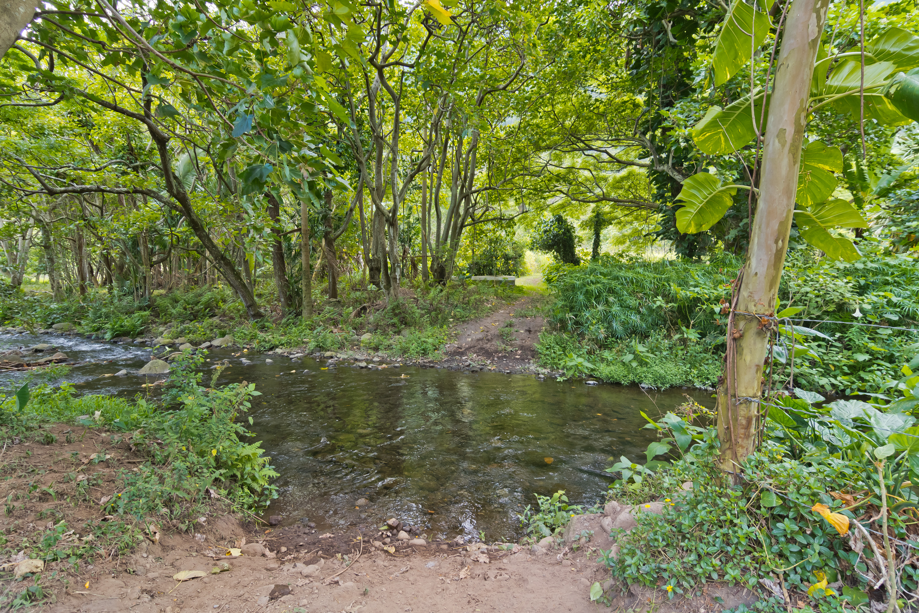 20 Waipio Valley Road Honokaa, HI 96727 - Photo 4 of 16