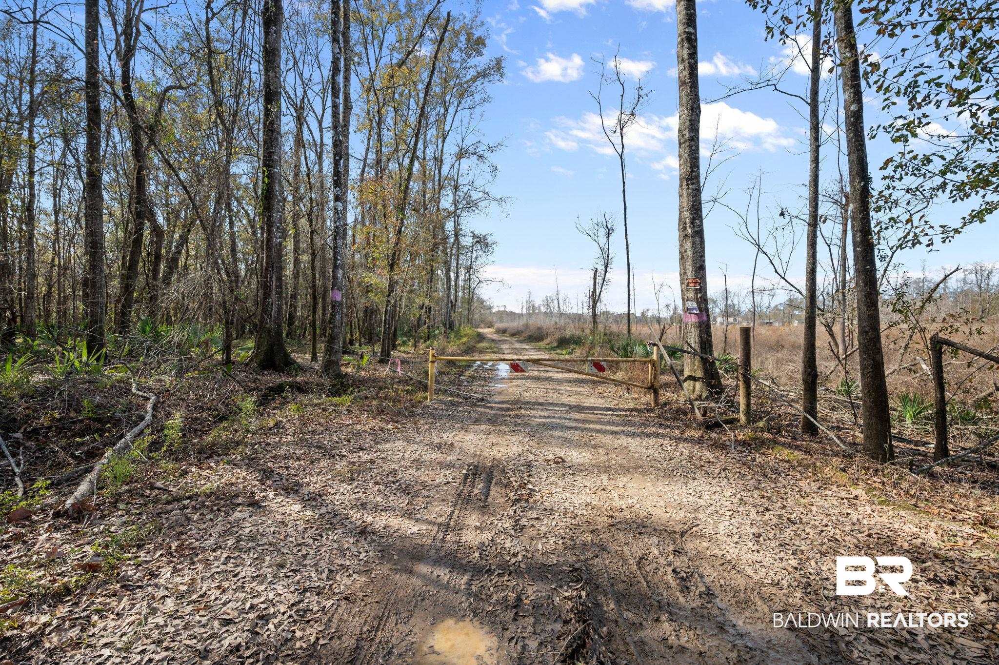 0 Bryant's Lndg Road Stockton, AL 36579 - Photo 1 of 29
