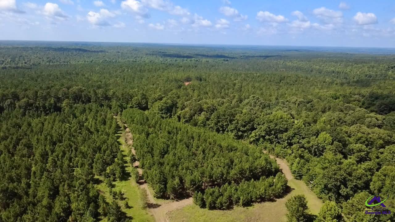 1636 Tribble Road Fort Valley, GA 31030 - Photo 5 of 8