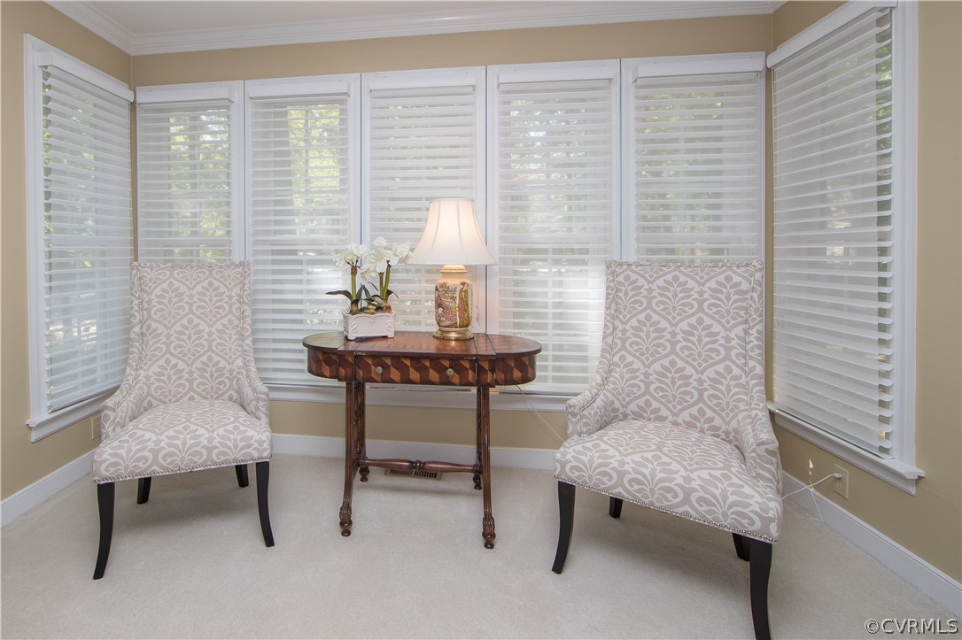 13917 Riverbirch Trace Road Midlothian, VA 23112 - Photo 8 of 50 Gallery Image 8