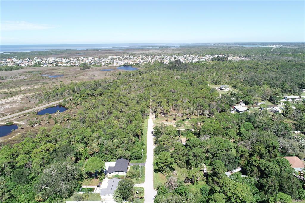 0 Shark Street, Unit LOT 4 Hudson, FL 34667 - Photo 5 of 14 a view of a city with lush green forest