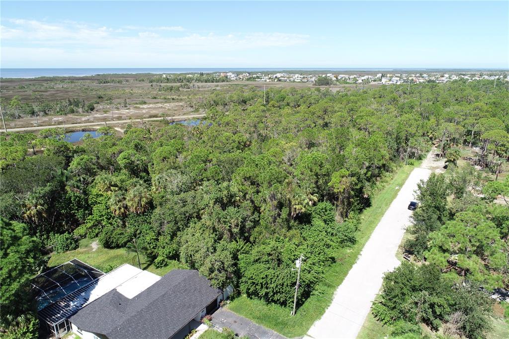 0 Shark Street, Unit LOT 4 Hudson, FL 34667 - Photo 8 of 14 a view of a city with lush green forest
