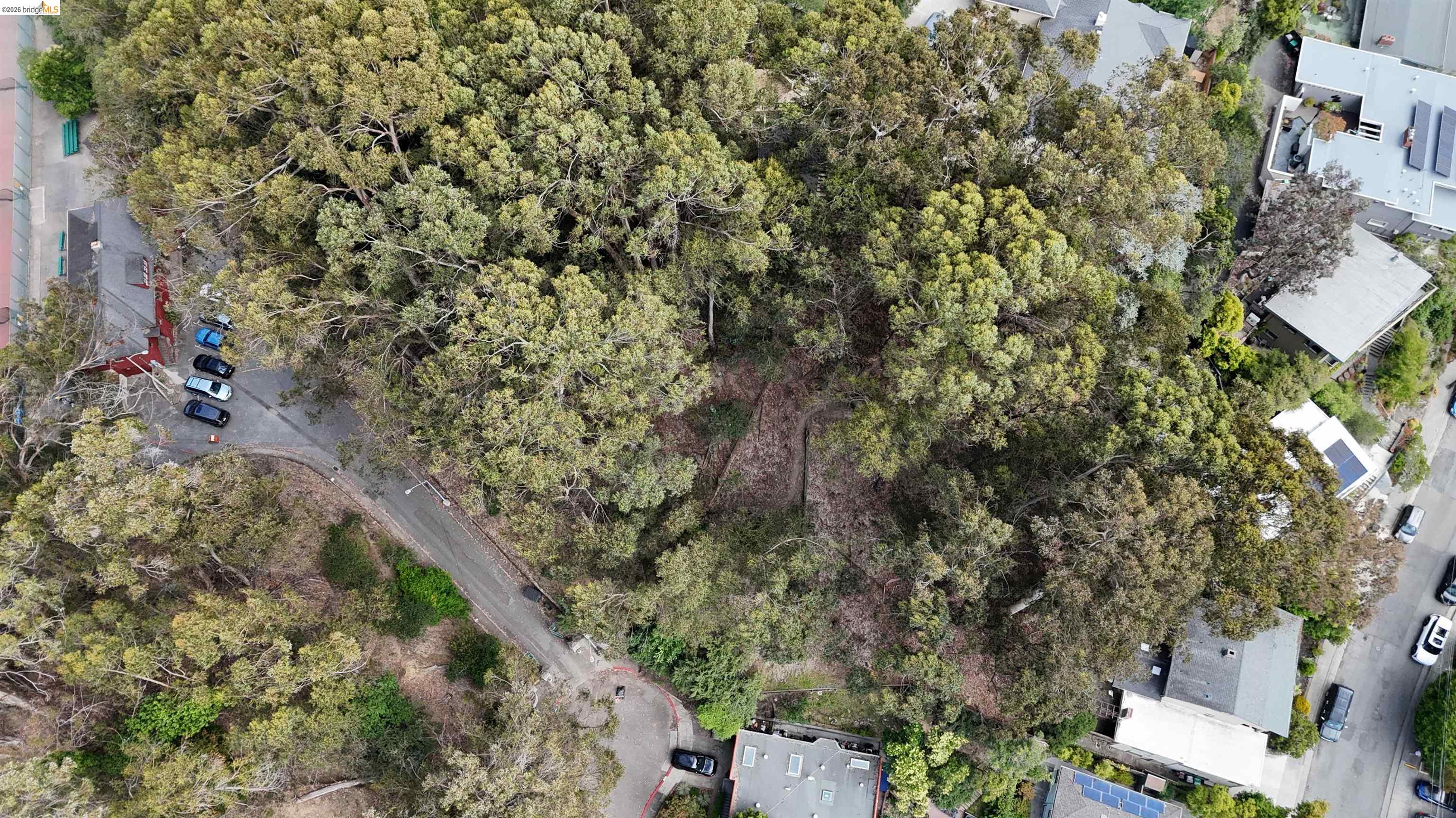 195 Oak Road Piedmont, CA 94610 - Photo 7 of 12