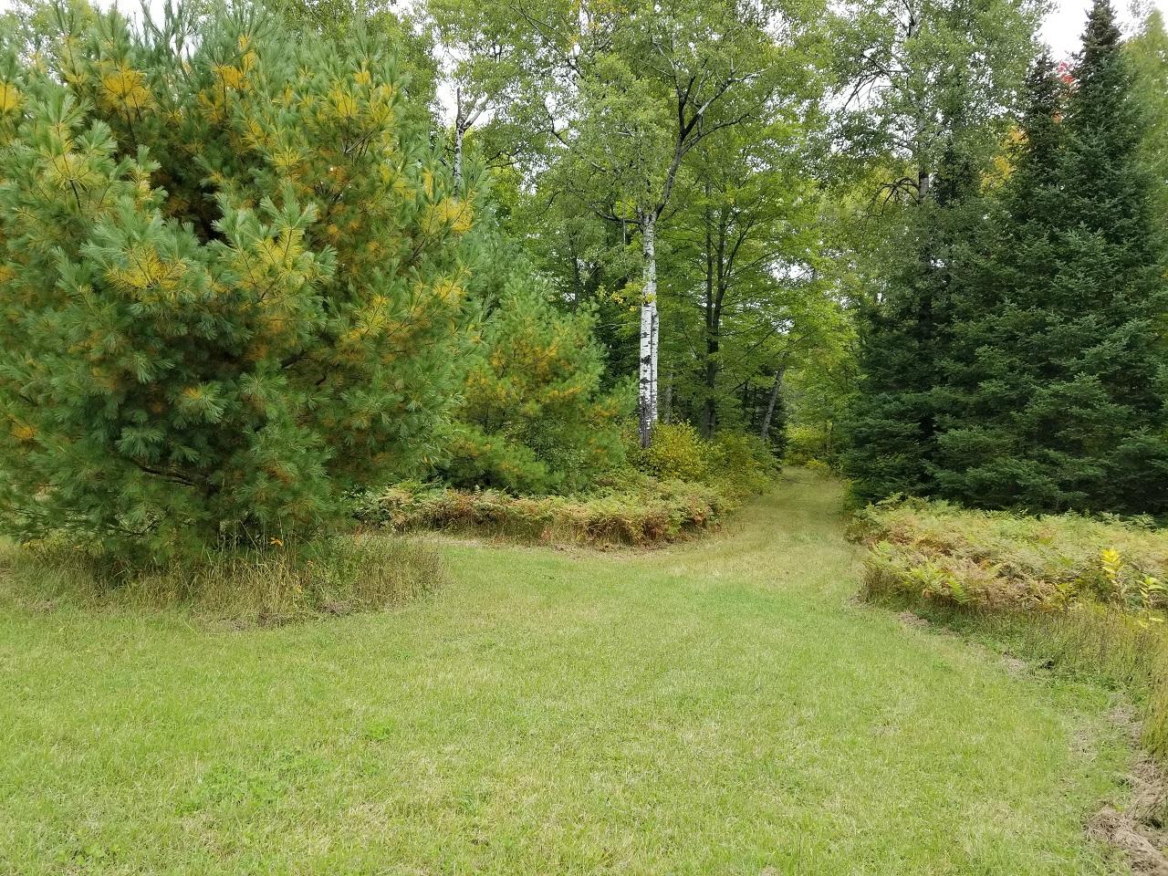 20-ac Off Boyer Road Mercer, WI 54547 - Photo 10 of 21 Gallery Image 10