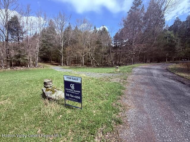 0 Van Etten Road Prattsville, NY 12468 - Photo 28 of 34 IMG_3188