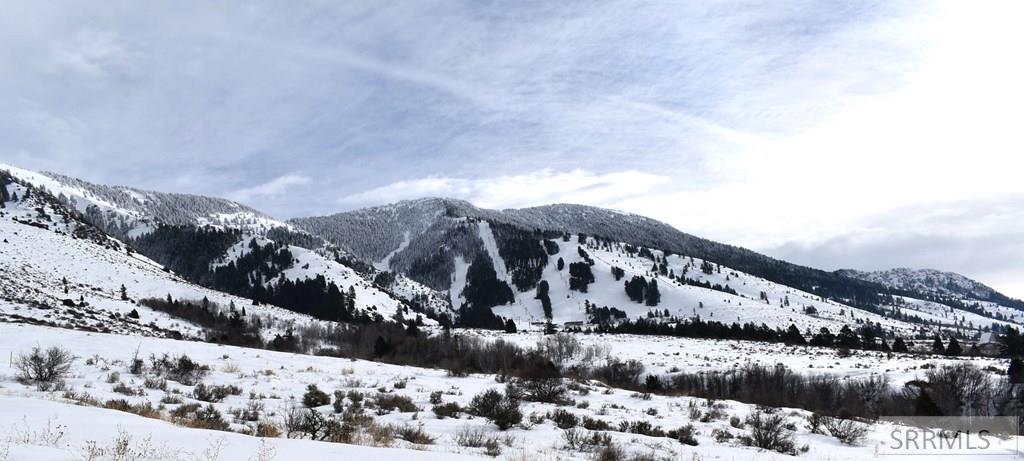 1725 Peerless Place Inkom, ID 83245 - Photo 46 of 50