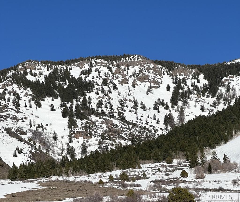 1725 Peerless Place Inkom, ID 83245 - Photo 48 of 50