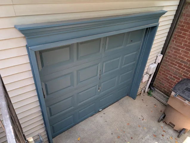 a street view with tall trees