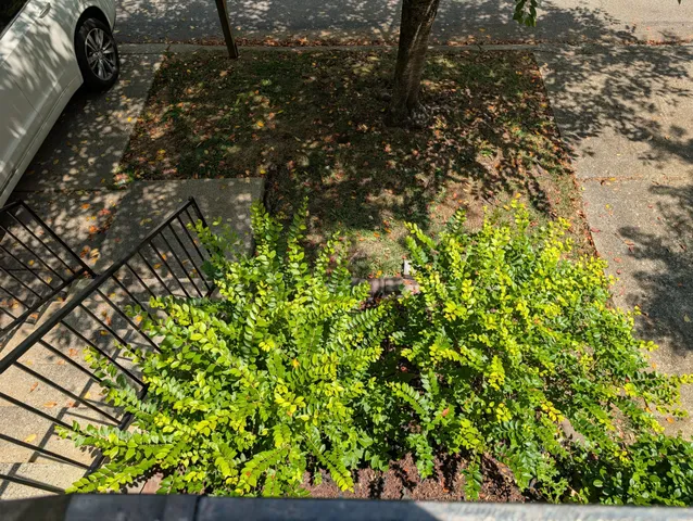 a wooden bench sitting in the middle of a yard