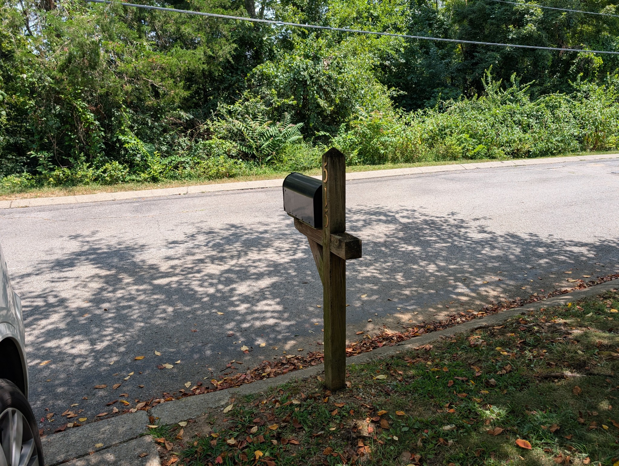 515 Huntington Ridge Drive Nashville, TN 37211 - Photo 40 of 42 a street view with tall trees