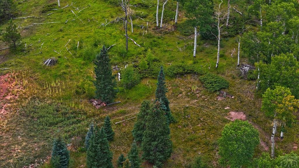 Tbd Baker Creek Road La Veta, CO 81055 - Photo 11 of 13