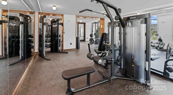 $3,260 | 300 East 36th Street, Unit C1, Charlotte, NC 28206
